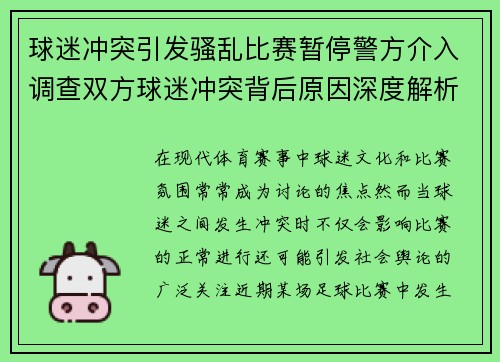 球迷冲突引发骚乱比赛暂停警方介入调查双方球迷冲突背后原因深度解析
