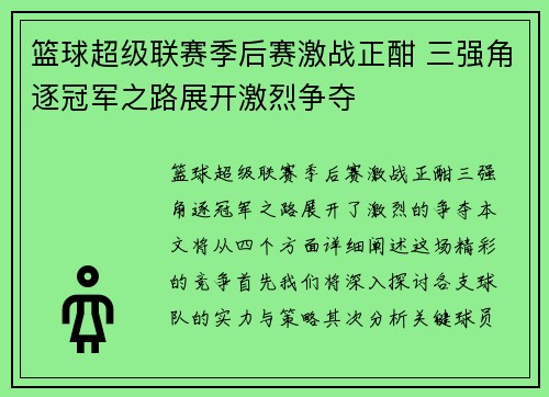 篮球超级联赛季后赛激战正酣 三强角逐冠军之路展开激烈争夺